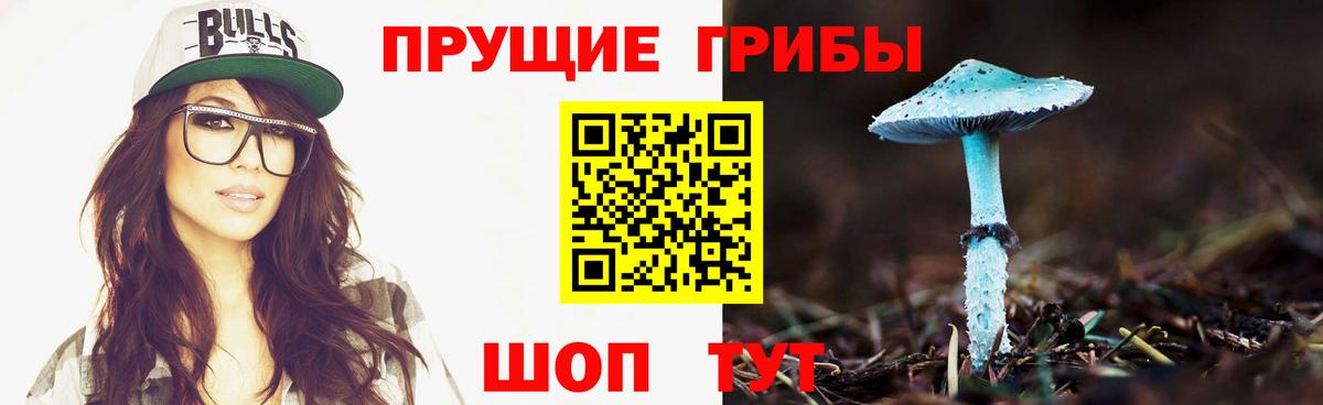 Псилоцибиновые грибы MAGIC MUSHROOMS  Псилоцибиновые грибы ЛСД  Электросталь  Вход с VPN 
